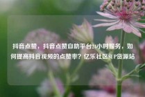 抖音点赞,抖音点赞自助平台24小时服务,如何提高抖音视频的点赞率?亿乐社区SUP货源站