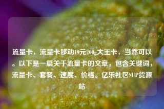 流量卡,流量卡移动19元200g大王卡,当然可以。以下是一篇关于流量卡的文章,包含关键词,流量卡、套餐、速度、价格。亿乐社区SUP货源站
