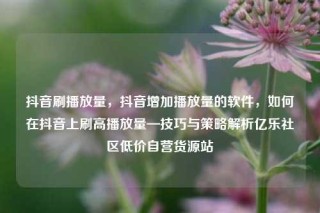 抖音刷播放量,抖音增加播放量的软件,如何在抖音上刷高播放量—技巧与策略解析亿乐社区低价自营货源站