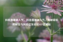 抖音直播刷人气，抖音直播刷人气，揭秘背后的秘密与风险亿乐社区SUP货源站