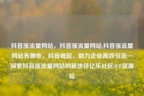 抖音涨流量网站，抖音涨流量网站,抖音涨流量网站有哪些，抖音崛起，助力企业高效引流—探索抖音涨流量网站的新途径亿乐社区SUP货源站
