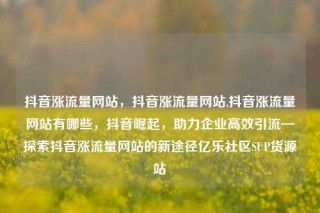 抖音涨流量网站，抖音涨流量网站,抖音涨流量网站有哪些，抖音崛起，助力企业高效引流—探索抖音涨流量网站的新途径亿乐社区SUP货源站