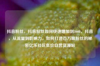 抖音粉丝，抖音粉丝如何快速增加到1000，抖音，从流量到影响力，如何打造百万级粉丝的秘密亿乐社区低价自营货源站
