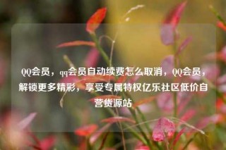 QQ会员，qq会员自动续费怎么取消，QQ会员，解锁更多精彩，享受专属特权亿乐社区低价自营货源站