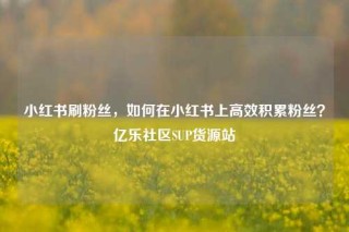 小红书刷粉丝,如何在小红书上高效积累粉丝?亿乐社区SUP货源站