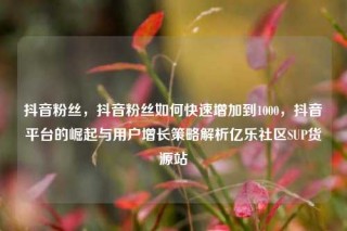 抖音粉丝,抖音粉丝如何快速增加到1000,抖音平台的崛起与用户增长策略解析亿乐社区SUP货源站