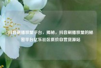 抖音刷播放量平台,揭秘,抖音刷播放量的秘密平台亿乐社区低价自营货源站