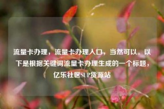 流量卡办理，流量卡办理入口，当然可以。以下是根据关键词流量卡办理生成的一个标题，亿乐社区SUP货源站