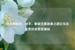 快手刷粉丝，快手，解锁无限追星之路亿乐社区低价自营货源站