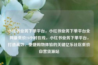 小红书业务下单平台,小红书业务下单平台全网最低价24小时在线,小红书业务下单平台,打造高效、便捷购物体验的关键亿乐社区低价自营货源站