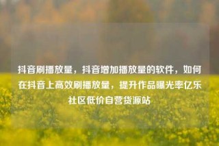 抖音刷播放量，抖音增加播放量的软件，如何在抖音上高效刷播放量，提升作品曝光率亿乐社区低价自营货源站