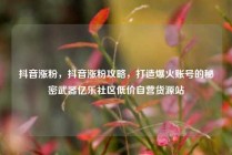 抖音涨粉，抖音涨粉攻略，打造爆火账号的秘密武器亿乐社区低价自营货源站