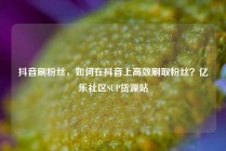 抖音刷粉丝,如何在抖音上高效刷取粉丝?亿乐社区SUP货源站