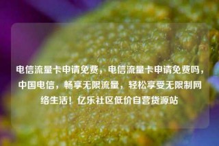 电信流量卡申请免费,电信流量卡申请免费吗,中国电信,畅享无限流量,轻松享受无限制网络生活!亿乐社区低价自营货源站
