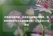 抖音涨流量网站,抖音涨流量网站有哪些,如何利用抖音提升流量和曝光率?亿乐社区SUP货源站