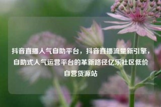抖音直播人气自助平台,抖音直播流量新引擎,自助式人气运营平台的革新路径亿乐社区低价自营货源站