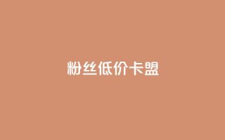dy粉丝低价卡盟,抖音24小时自助平台广告 - 拼多多业务自助下单网站 - 拼多多3人团评论区怎么复制
