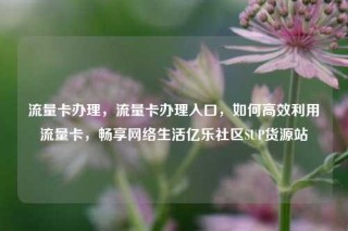 流量卡办理,流量卡办理入口,如何高效利用流量卡,畅享网络生活亿乐社区SUP货源站