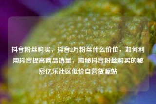 抖音粉丝购买,抖音2万粉丝什么价位,如何利用抖音提高商品销量,揭秘抖音粉丝购买的秘密亿乐社区低价自营货源站