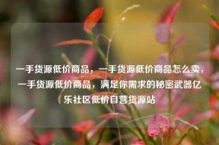一手货源低价商品,一手货源低价商品怎么卖,一手货源低价商品,满足你需求的秘密武器亿乐社区低价自营货源站