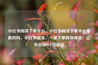 小红书阅读下单平台,小红书阅读下单平台是真的吗,小红书新宠,一键下单购物神器!亿乐社区SUP货源站