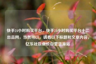 快手24小时购买平台,快手24小时购买平台十二出品网,当然可以,请看以下标题和文章内容,亿乐社区低价自营货源站
