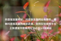 抖音涨流量网站，抖音涨流量网站有哪些，揭秘抖音涨流量的秘密武器，如何在短视频平台上快速提升影响力亿乐社区SUP货源站