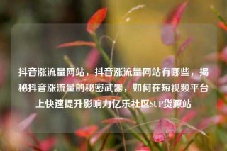 抖音涨流量网站，抖音涨流量网站有哪些，揭秘抖音涨流量的秘密武器，如何在短视频平台上快速提升影响力亿乐社区SUP货源站