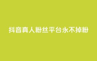 抖音真人粉丝平台 永不掉粉,抖音怎么增加浏览量和粉丝 - 全网最低价qq业务平台登录 - 快手涨1000粉丝网站是多少