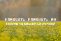 抖音刷播放量平台，抖音刷播放量平台，揭秘如何快速提升视频曝光度亿乐社区SUP货源站