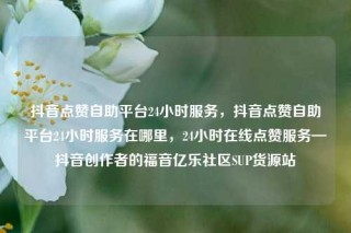 抖音点赞自助平台24小时服务,抖音点赞自助平台24小时服务在哪里,24小时在线点赞服务—抖音创作者的福音亿乐社区SUP货源站