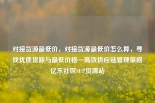 对接货源最低价,对接货源最低价怎么算,寻找优质货源与最低价格—高效供应链管理策略亿乐社区SUP货源站