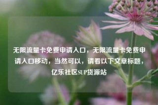 无限流量卡免费申请入口,无限流量卡免费申请入口移动,当然可以,请看以下文章标题,亿乐社区SUP货源站