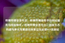 哔哩哔哩业务平台，哔哩哔哩业务平台网站服务马线报帮手，哔哩哔哩业务平台，创新生态构建与多元发展路径探索亿乐社区SUP货源站