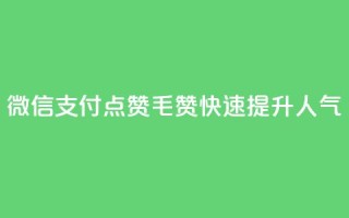 微信支付,qq点赞1毛10000赞,快速提升人气