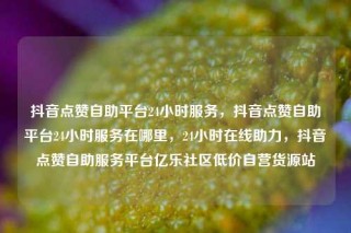 抖音点赞自助平台24小时服务，抖音点赞自助平台24小时服务在哪里，24小时在线助力，抖音点赞自助服务平台亿乐社区低价自营货源站