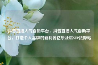 抖音直播人气自助平台,抖音直播人气自助平台,打造个人品牌的新利器亿乐社区SUP货源站