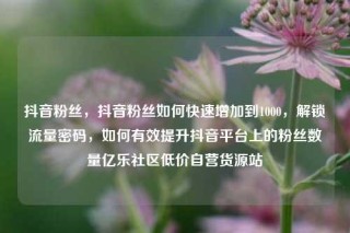 抖音粉丝,抖音粉丝如何快速增加到1000,解锁流量密码,如何有效提升抖音平台上的粉丝数量亿乐社区低价自营货源站