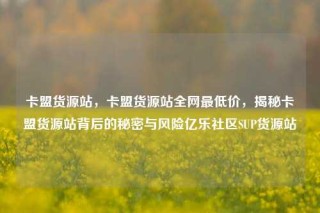 卡盟货源站,卡盟货源站全网最低价,揭秘卡盟货源站背后的秘密与风险亿乐社区SUP货源站