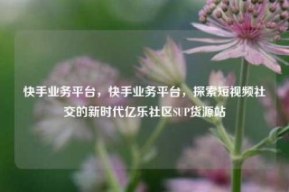 快手业务平台,快手业务平台,探索短视频社交的新时代亿乐社区SUP货源站