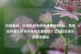 抖音粉丝,抖音粉丝如何快速增加到1000,如何在抖音上获得并保持大量粉丝?亿乐社区低价自营货源站