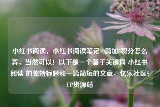 小红书阅读，小红书阅读笔记10篇加5积分怎么弄，当然可以！以下是一个基于关键词 小红书阅读 的独特标题和一篇简短的文章，亿乐社区SUP货源站