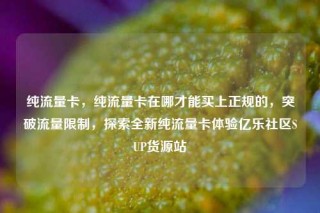 纯流量卡,纯流量卡在哪才能买上正规的,突破流量限制,探索全新纯流量卡体验亿乐社区SUP货源站