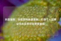 抖音涨粉,抖音如何快速涨粉,打造个人品牌亿乐社区低价自营货源站