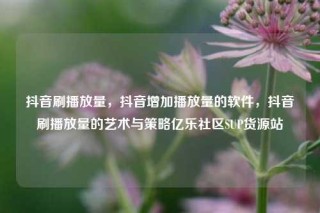 抖音刷播放量，抖音增加播放量的软件，抖音刷播放量的艺术与策略亿乐社区SUP货源站