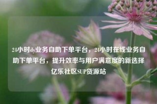 24小时dy业务自助下单平台,24小时在线业务自助下单平台,提升效率与用户满意度的新选择亿乐社区SUP货源站