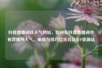 抖音直播间挂人气网站,如何在抖音直播间中有效提升人气,策略与技巧亿乐社区SUP货源站