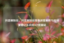 抖音刷粉丝,抖音刷粉丝现象深度解析与应对策略亿乐社区SUP货源站