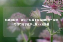抖音刷粉丝,如何在抖音上高效刷粉丝?策略与技巧分享亿乐社区SUP货源站