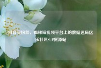 抖音买粉丝,揭秘短视频平台上的数据迷局亿乐社区SUP货源站